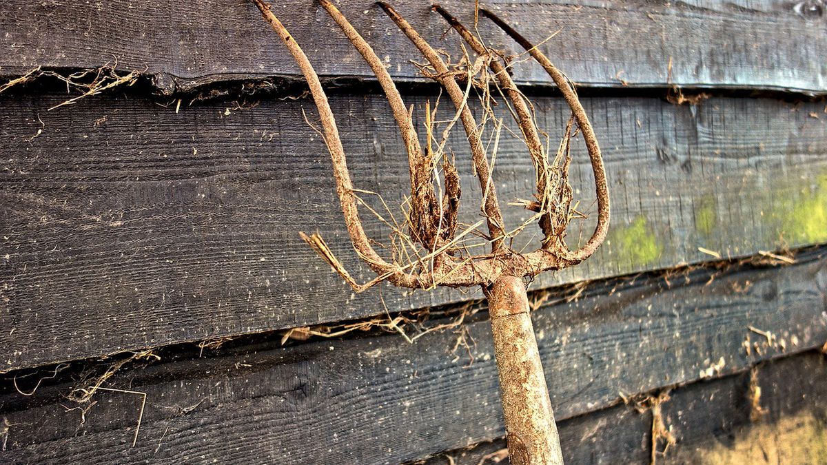 Zdjęcie ilustracyjne.