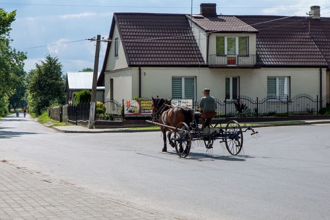 Fot: Wojciech Kozioł 