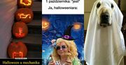 Halloween 2024. Taki ubaw, że aż STRACH! Zobacz najlepsze MEMY, które zrobili internauci