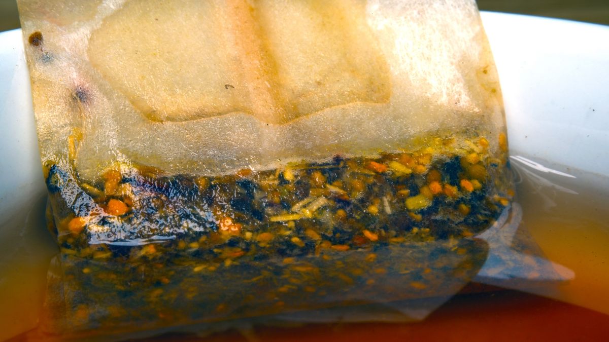 Tea Bag
A close-up of a steeping herbal tea bag.
Bryan Steffy