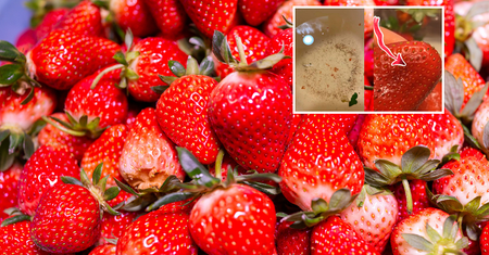 Zrób to, zanim zjesz truskawki. Pozbędziesz się robaków i pestycydów