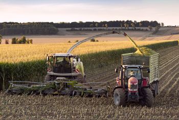 "Grozi za to grzywna 1500 zł". Burmistrz apeluje do rolników