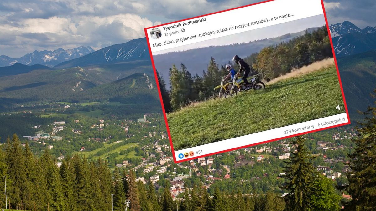 Osoby przebywające na Antałówce zostały zaskoczone obecnością mo