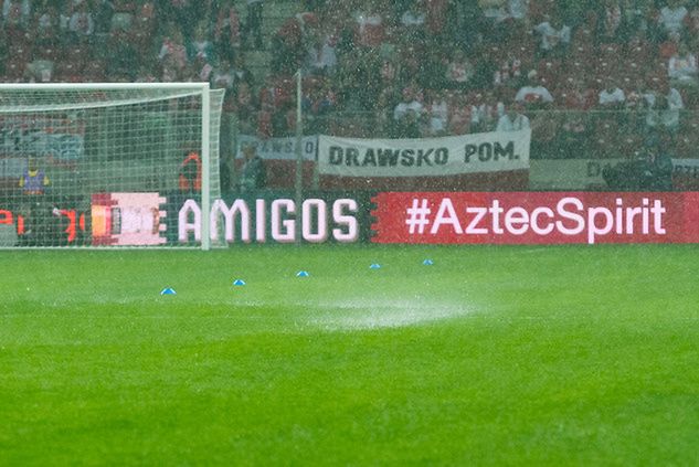 Murawa Stadionu Narodowego - Foto Paweł Pietranik