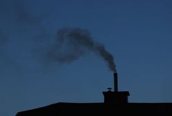 Niemiecka prasa ws. ETS2: ta decyzja może się zemścić na Polsce