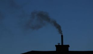 Niemiecka prasa ws. ETS2: ta decyzja może się zemścić na Polsce