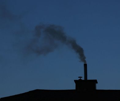 Niemiecka prasa ws. ETS2: ta decyzja może się zemścić na Polsce