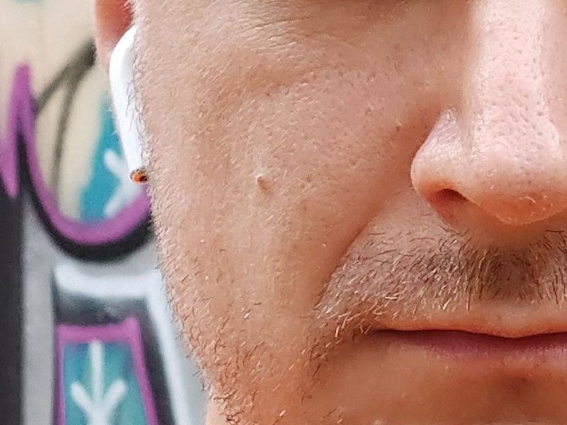 Samsung Galaxy A80 kontra przedni aparat Galaxy S10. Czy obracana kamera ma sens? 20