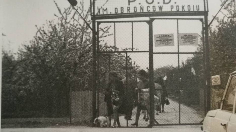 Rodzinne Ogrody Działkowe Obrońców Pokoju. W przyszłym roku świętować będą 120-lecie. I nic im już nie zagrozi