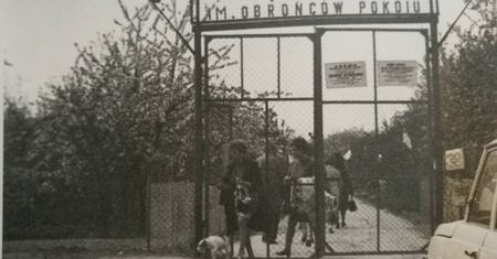 Warszawa. Róże dla Violetty i cud istnienia. Oaza działkowców w centrum stolicy
