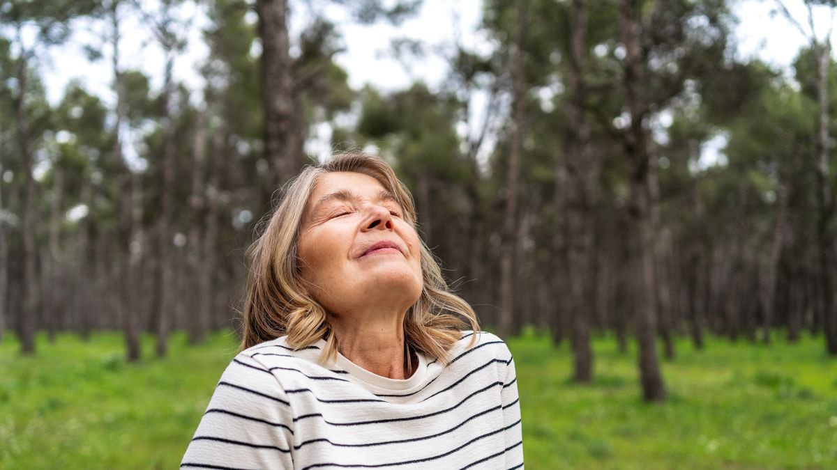 Mature woman enjoying the tranquility of a green forest, breathing deeply with closed eyes, embracing the peace of nature
Mature woman experiencing forest tranquility, breathing deeply with closed eyes, connecting with peaceful wilderness surroundings
Abraham Gonzalez Fernandez