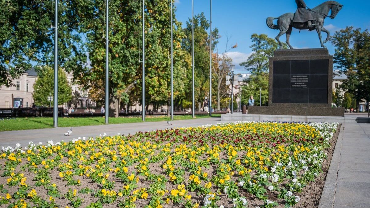 Nowe jesienne nasadzenia na Placu Litewskim