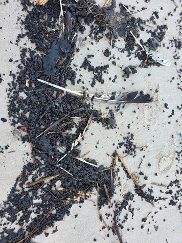 Czarna, lepka substancja na plażach. Ustka zamyka wybrzeże do odwołania