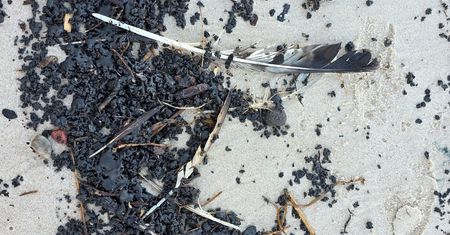 Czarna, lepka substancja na plażach. Ustka zamyka wybrzeże do odwołania