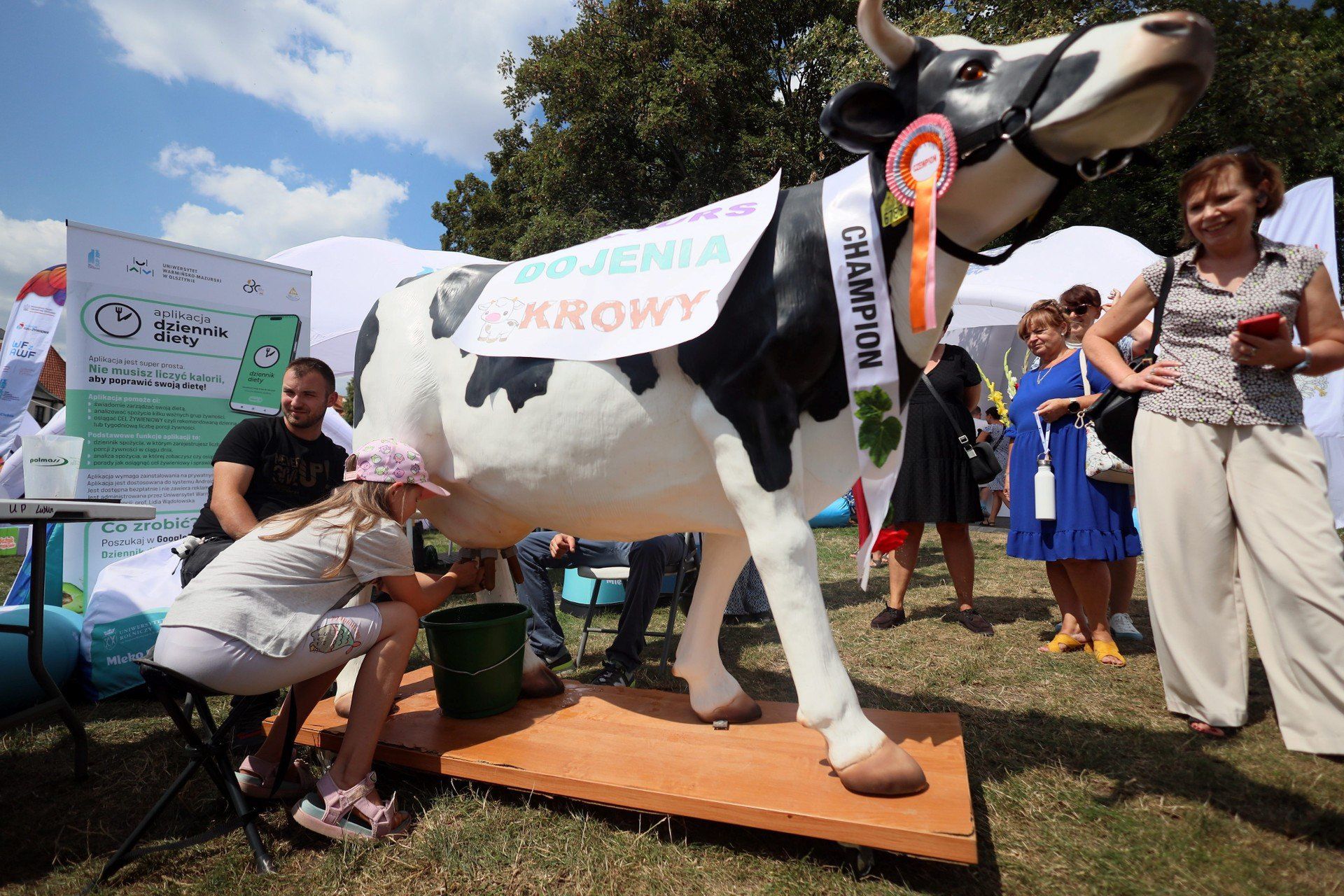 Ale Kosmos! Piknik naukowy na błoniach pod Zamkiem
