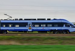 Pluskwy w pociągu PKP Intercity. "Zaniedbanie po stronie wykonawcy"