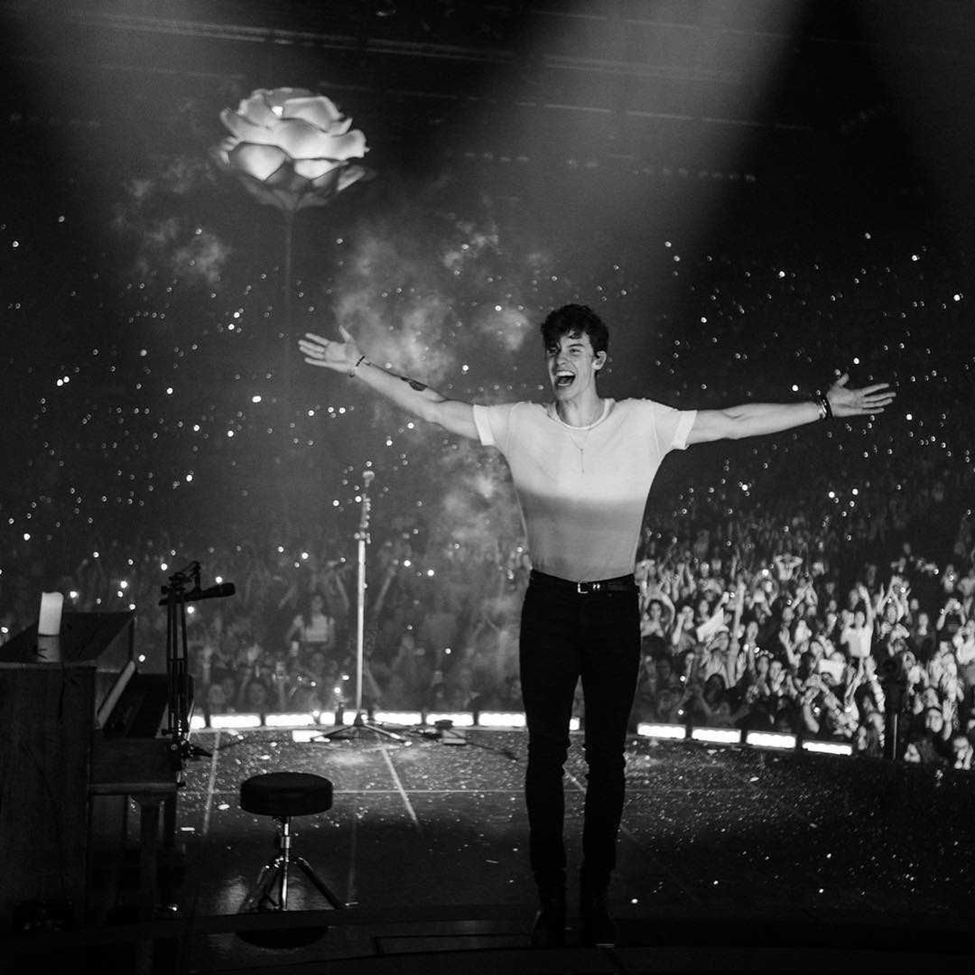 Shawn Mendes ma bliznę na policzku