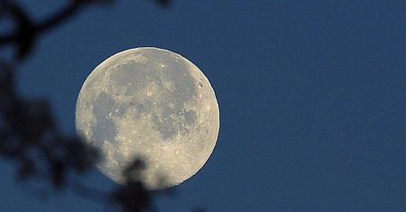 Pale Moon 27.6 dostępny. Dobry wybór dla użytkowników rozszerzeń legacy