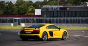 Test na torze Audi R8 Performance: bestia, którą łatwo oswoić