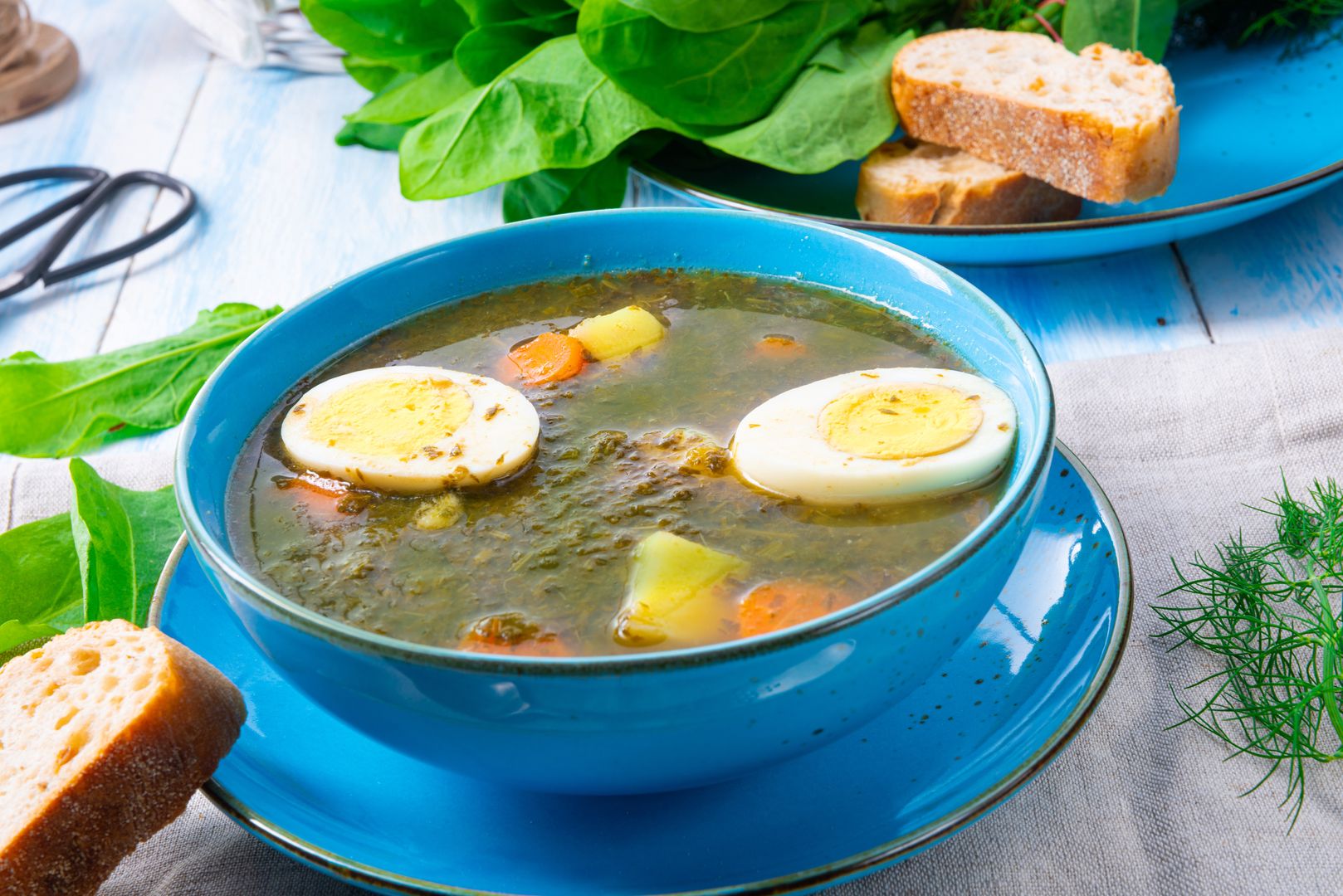Zupa szczawiowa