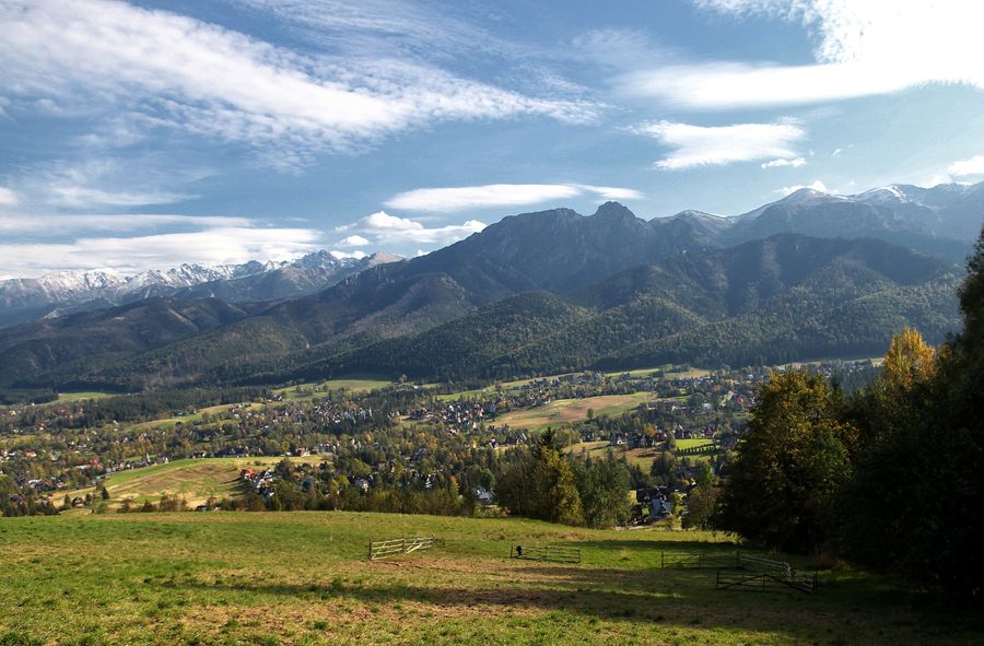 Zakopane i afera z białym misiem