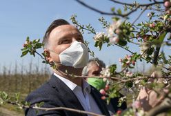 Koronawirus w Polsce. Andrzej Duda nosi maseczkę z ręcznika papierowego. To lepszej nie ma?