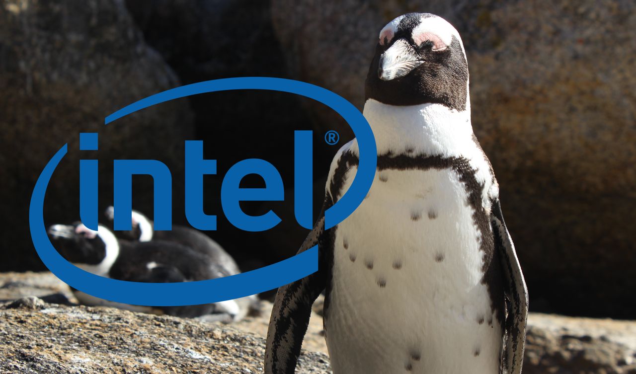 Intel romansuje z Fundacją Linux. Będzie udawać, że zależy mu na prywatności użytkownika