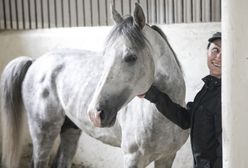 Janów Podlaski. Wyrok sądu w sprawie zwolnionego szefa stadniny