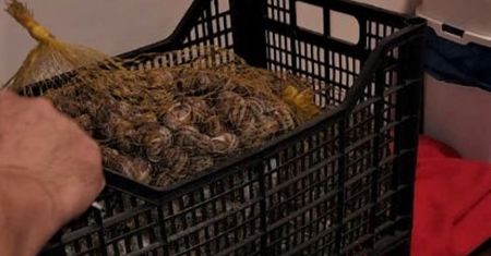 Straż Miejska oniemiała. Ktoś z Żagania ukradł coś takiego