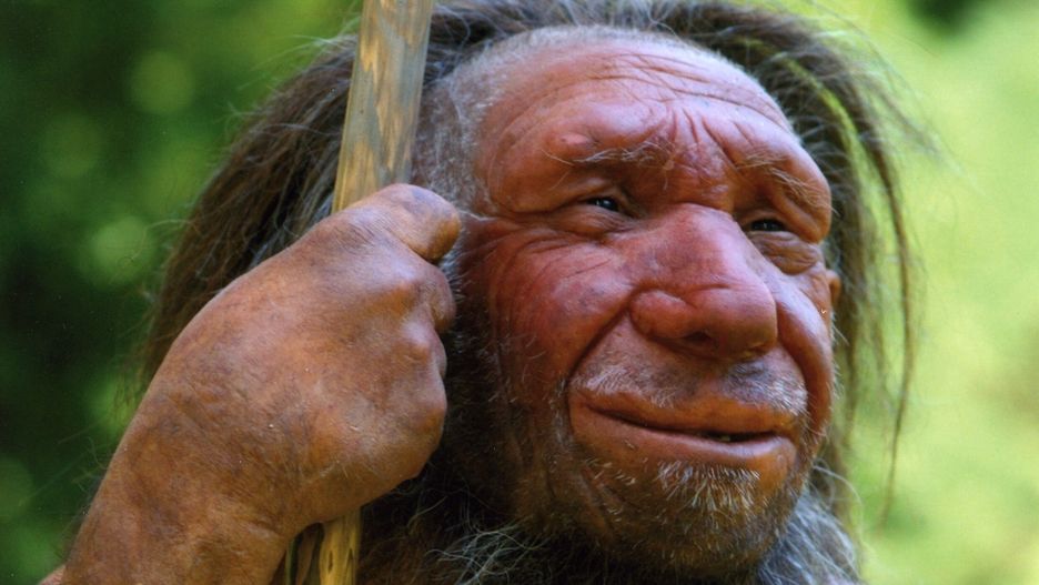 Rekonstrukcja człowieka neandertalskiego