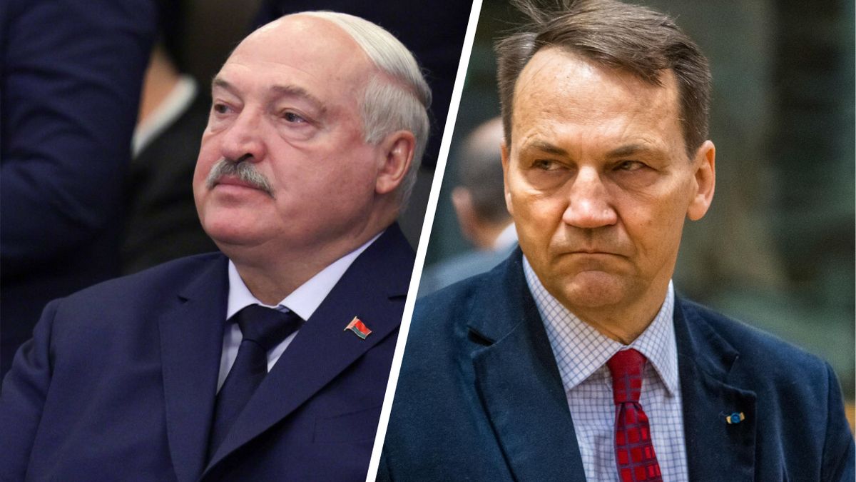 Aleksander Łukaszenko / Radosław Sikorski
