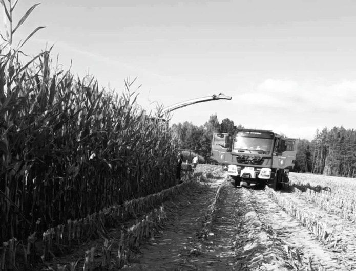 Skarżyn: Tragedia na polu. Sieczkarnia wciągnęła rolnika