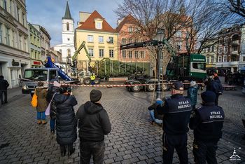 Zielona Góra: 12-metrowy świerk stanął przy ratuszu