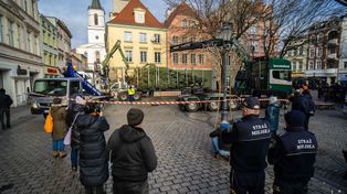 Zielona Góra: 12-metrowy świerk stanął przy ratuszu