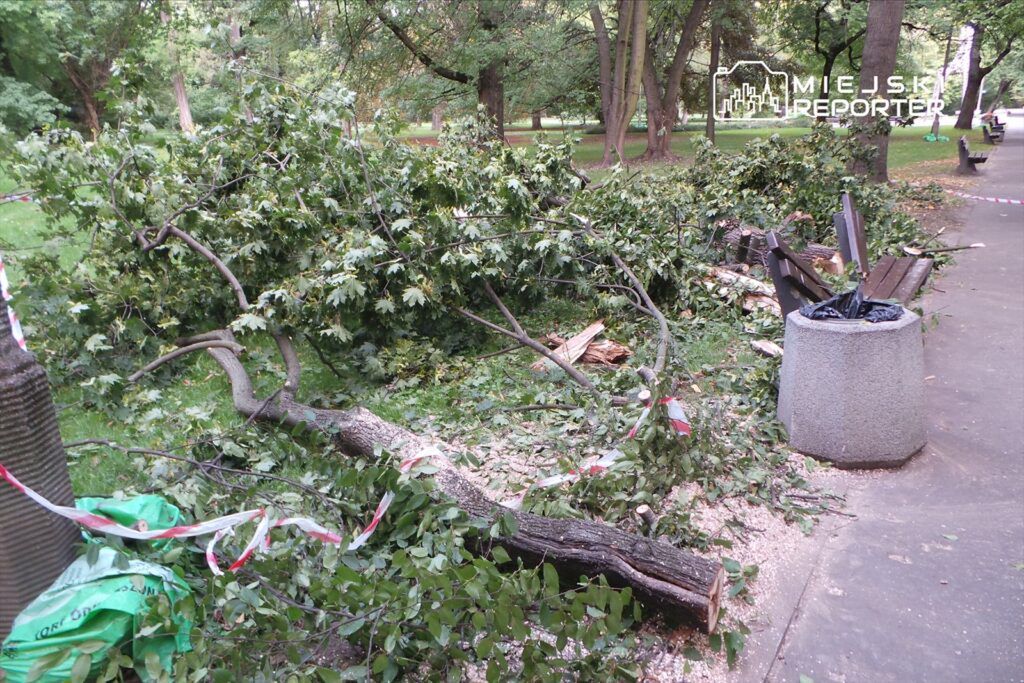Połamane gałęzie drzew i liście leżą na ścieżce w parku, obok ławek i kosza na śmieci.