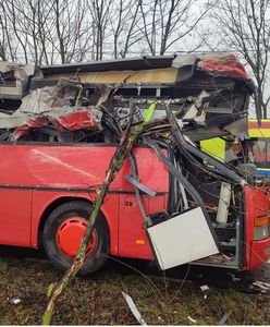 Autobus szkolny uderzył w drzewo. Poważny wypadek pod Szamotułami