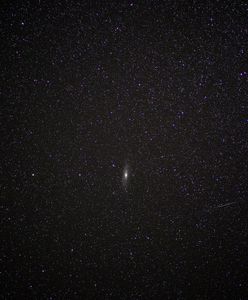 Wyjątkowy spektakl na nocnym niebie. Czeka nas jedyna w swoim rodzaju noc spadających gwiazd