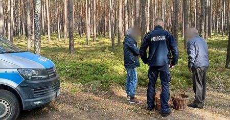 Zgubili się w lesie. Policja uratowała grzybiarzy