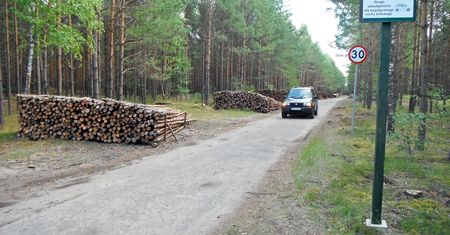 Kary za wjazd autem do lasu. Pojawią się nowe regulacje, które pomogą kierowcom