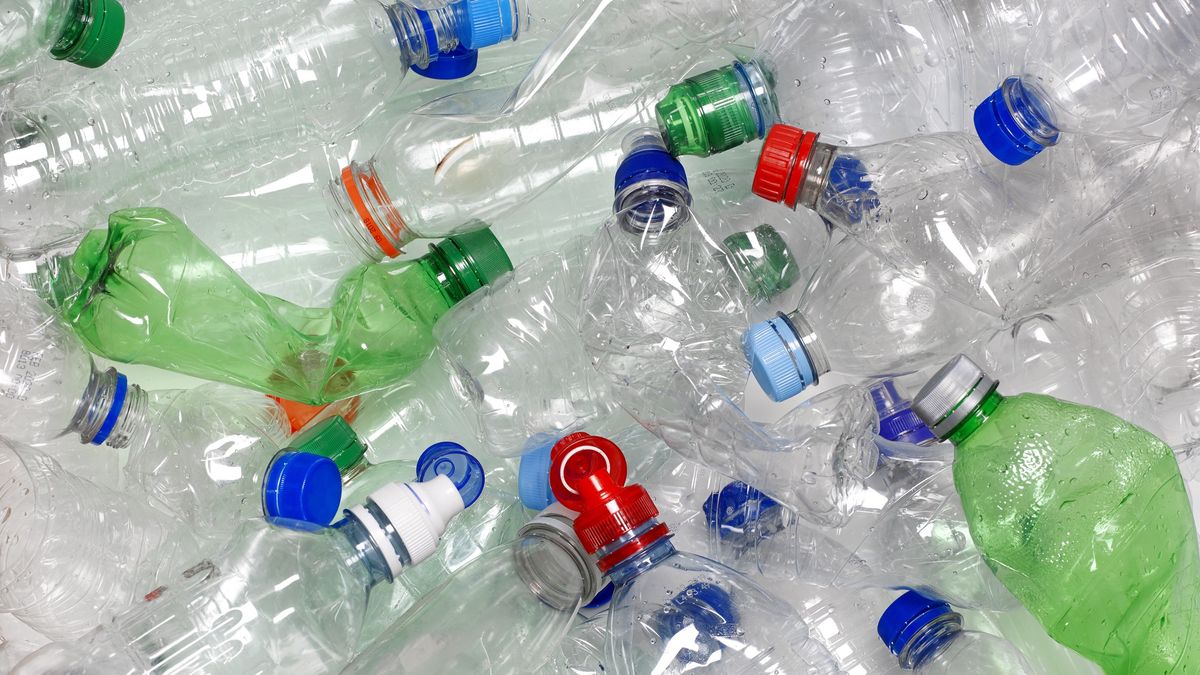 Zmiany zapoczątkowała unijna dyrektywa SUP (Single Use Plastic)