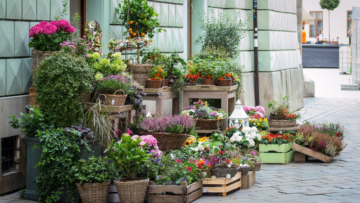 Mężczyzna miał regularnie okradać kwiaciarnie w Wielkopolsce