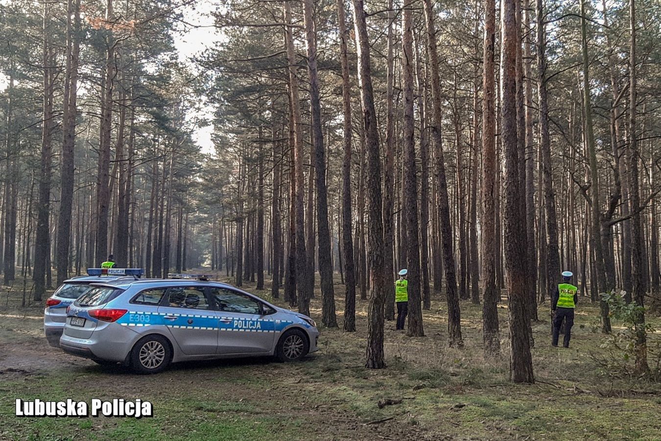 Poszła na grzyby i już nie wróciła. Tragedia w Międzyrzecu Podlaskim