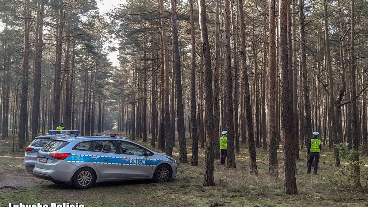 Zdjęcie ilustracyjne.