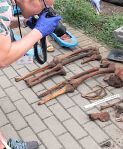 Ponure znalezisko w Gdyni. Odkopali ludzkie kości