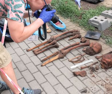 Ponure znalezisko w Gdyni. Odkopali ludzkie kości