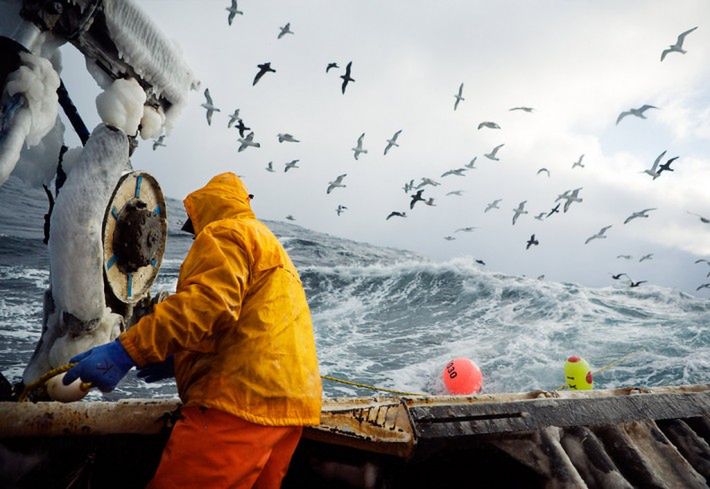 Fish-Work: The Bering Sea