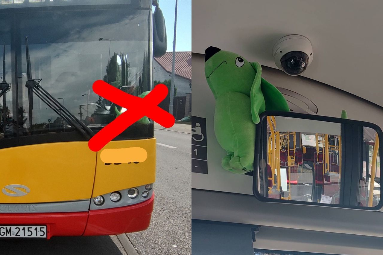 799 zł kary za pluszaka w autobusie miejskim. ZTM kontra jamnik