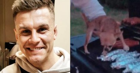 Alan z "Warsaw Shore" zamyka przerażonego psa NA GRILLU: "Serwujemy pulpet z rożna"