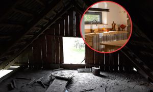 Kiedyś stajnia, dziś minimalistyczny azyl. Wyjątkowy projekt NOKE Architects