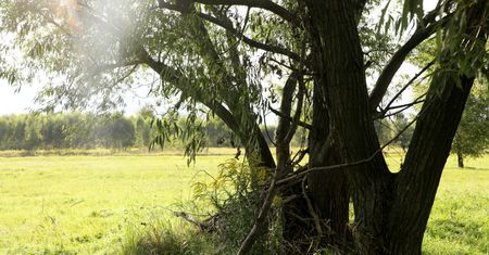 Wołomin. Są wyniki sekcji zwłok dwóch 13-latek